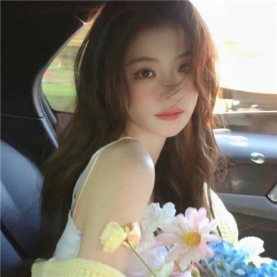 金刚斗恐龙
